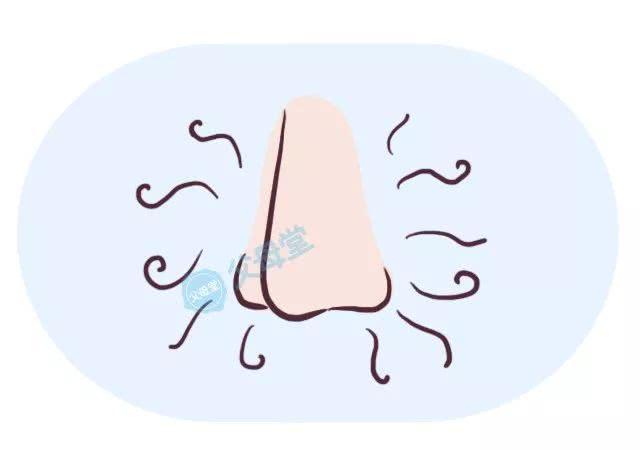 男孩身上持续散发恶臭，医生从他鼻腔中取出腐烂瓜子