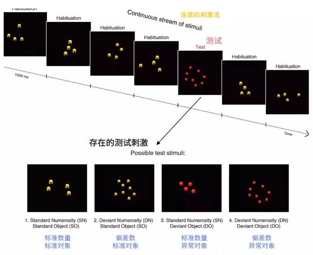 3个月就会数数？最好的数学早教只有1%的人知道！