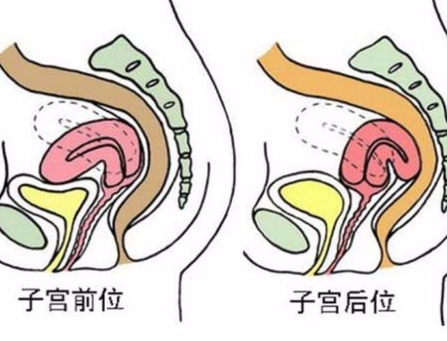 易孕的女人，身上一般有这4个共性，备孕的你可以对照一下