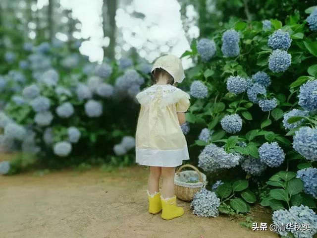 12岁前，请逼孩子养成这5个好习惯，他会感激你一辈子！