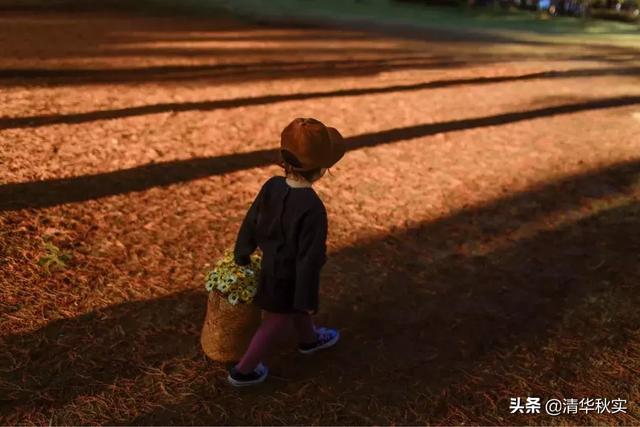 12岁前，请逼孩子养成这5个好习惯，他会感激你一辈子！