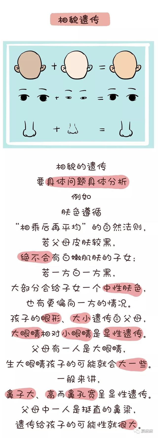 夫妻俩谁的基因决定了孩子的智商和相貌？太准了