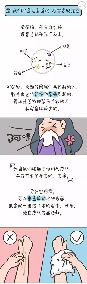 人人喊打的柳絮，竟然说“宝宝委屈”？如何带娃安度过敏高发期？