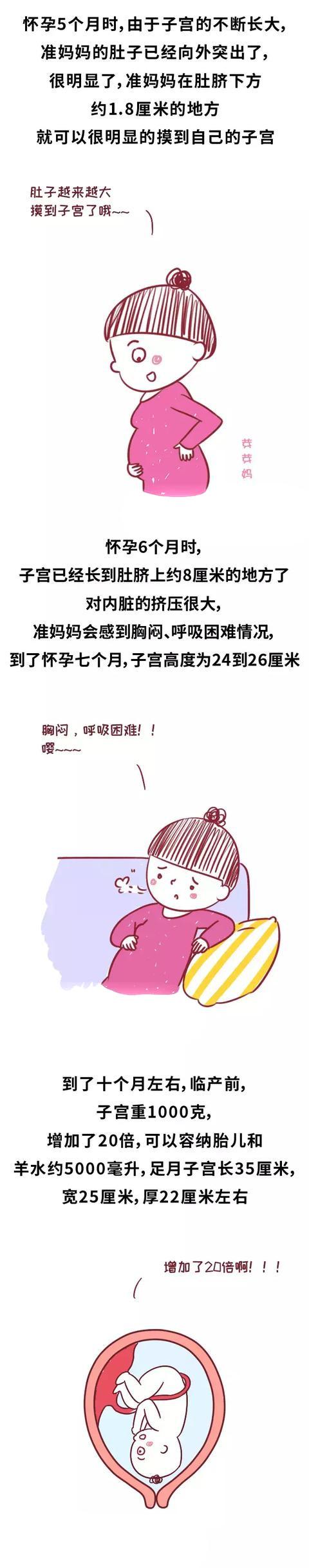 为什么新生宝宝身高都是50cm ?背后的答案竟然如此暖心！