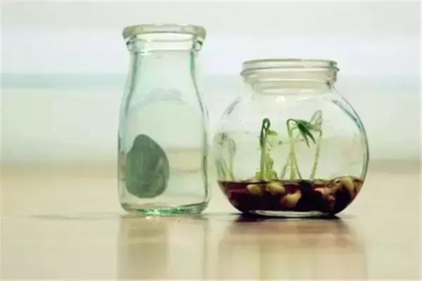 【积极父母成长工具】成熟父母的十大特质