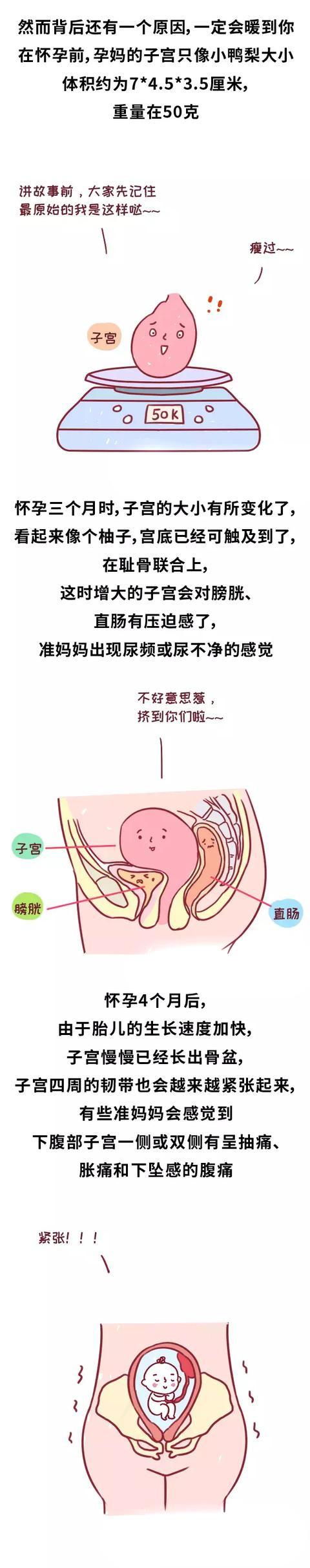 为什么新生宝宝身高都是50cm ?背后的答案竟然如此暖心！
