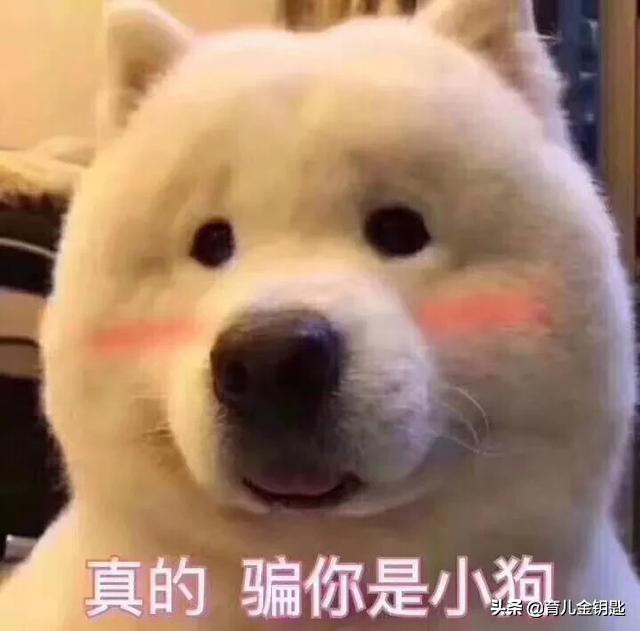 孩子不吃饭？教你做道五彩饭，好吃又有营养还开胃！