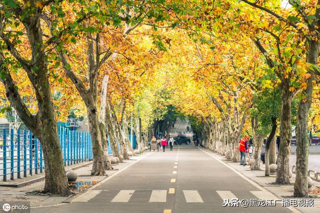 比考上好大学更重要的四件事
