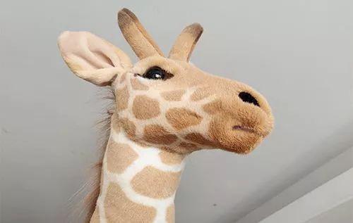 千万不要给孩子买长颈鹿,不然。。。哈哈哈哈哈哈哈哈
