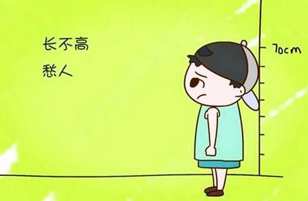 两岁半宝宝比同龄小朋友个子矮许多，吃什么能帮助宝宝长高呢？