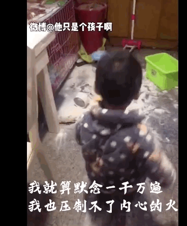 一个健康的孩子，一生至少要背叛父母三次