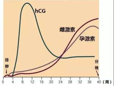 随诊笔记 | 吃了紧急避孕药，2～3年不能怀孕！真的吗？