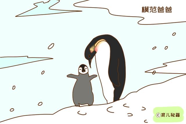 谁说带孩子是妈妈的事？有些动物爸爸比妈妈还尽责，值得夸赞