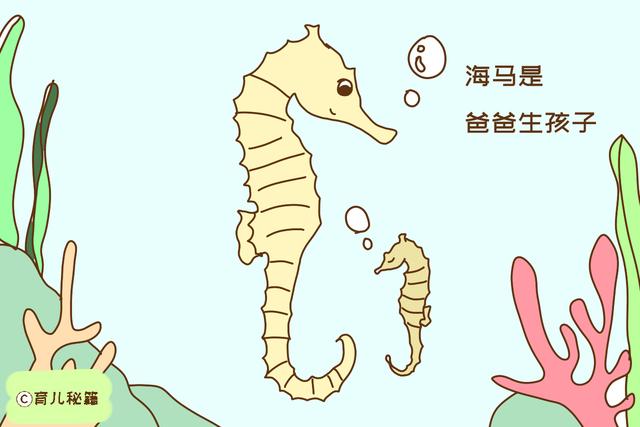 谁说带孩子是妈妈的事？有些动物爸爸比妈妈还尽责，值得夸赞