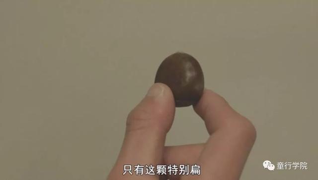 你不是孩子的百科全书，也不应该是