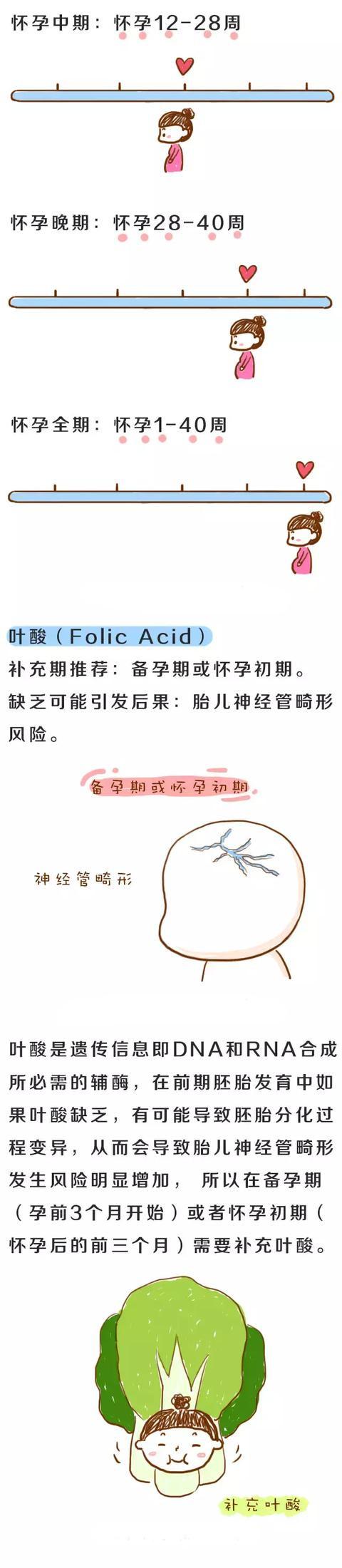 孕期营养怎么补？少补、多补都不行！一图看懂每月重点营养指南！