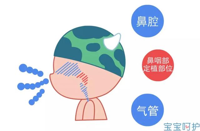 近千元1针的肺炎疫苗值得打？宝妈关心的5个问题，医生一次讲透