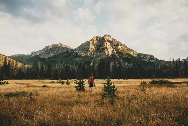 四大行业，告诉你什么是日式工匠精神！