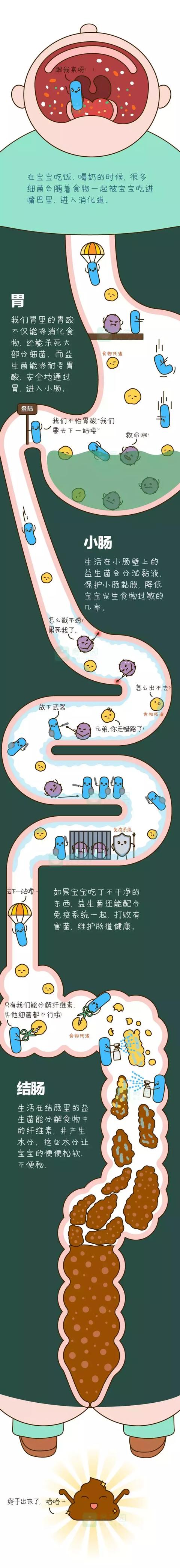 娃爱生病、长的慢、总过敏？原因和这4个字有关，千万别忽视！