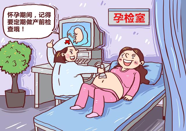孕期彩超什么时候做？孕妇做彩超需要空腹吗？