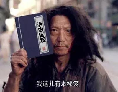 携带病毒、传染疾病！别小看蚊虫叮咬，出现这5种情况要就医