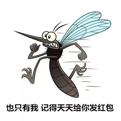 携带病毒、传染疾病！别小看蚊虫叮咬，出现这5种情况要就医