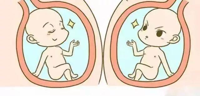 双胞胎姐妹怀孕也组团? ?