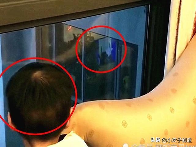 家住30层的2岁娃，经常盯窗外看1个多钟头，老妈发现瞬间泪奔