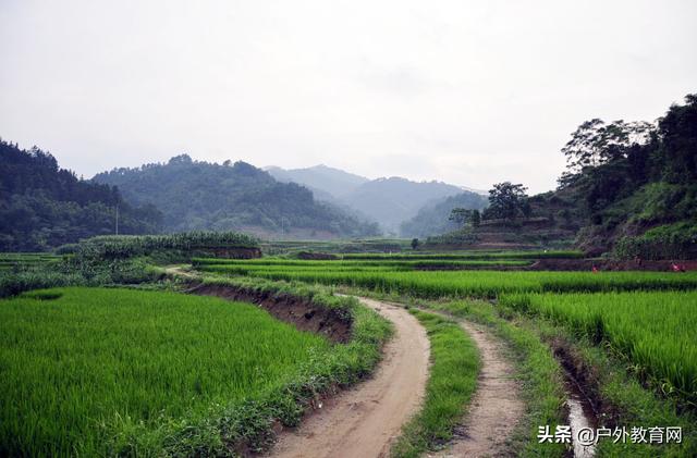 户外：春季带孩子去乡下春游，体验自然环境，好处你想象不到