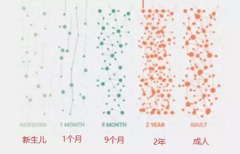 这些表现你的宝宝出现的早还是晚，完全代表大脑发育的好坏！