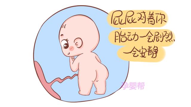 这几种胎儿很少见，但是很聪明，中一个妈妈就偷着乐吧