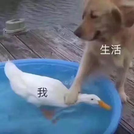 孩子越大花钱越凶，儿子越养家里越穷。