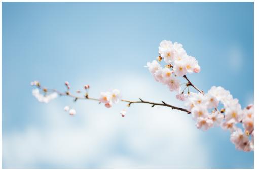 春日风光无限好，这些东西不能少