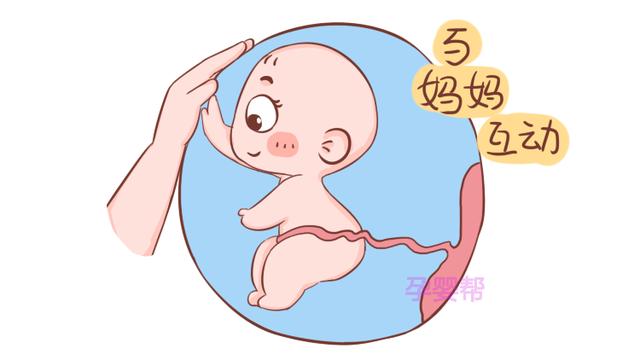 这几种胎儿很少见，但是很聪明，中一个妈妈就偷着乐吧