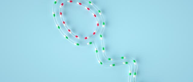 「脑洞科普」没遇上卵子的精子去哪了？可能比你想象的还惨一点