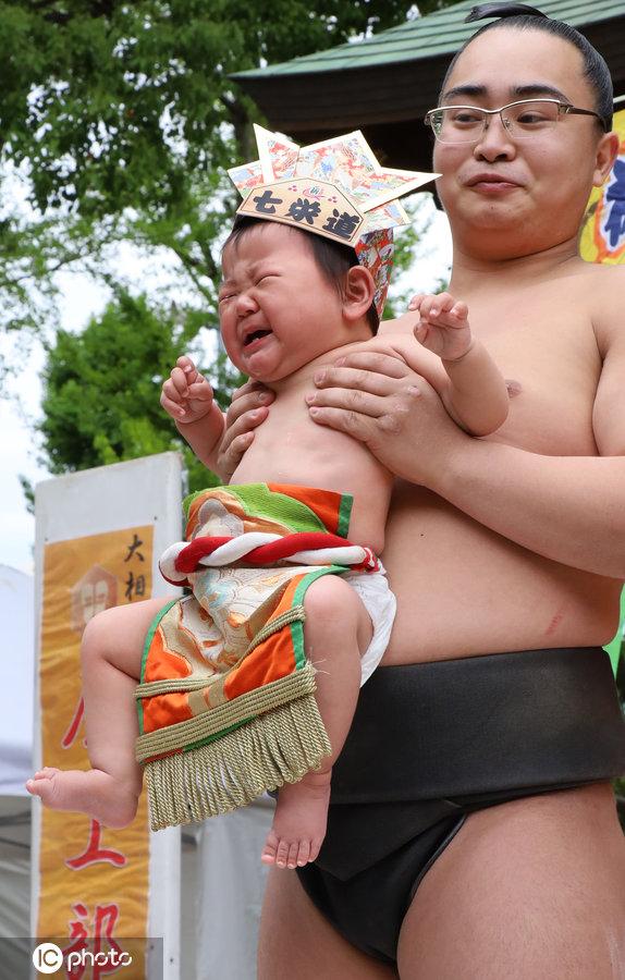 魔鬼爸爸！日本“宝宝哭”相扑赛 让宝宝哭声最大者获胜