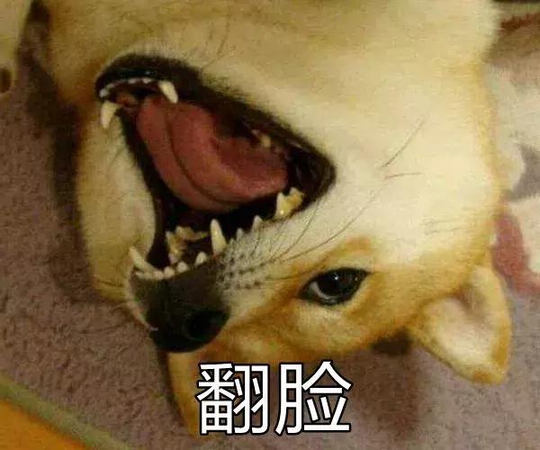 生孩子，是这世上最伟大的修行！