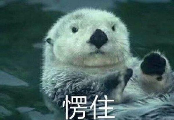 今天是“国际不打小孩日”？网友：好嘛好嘛休息一天