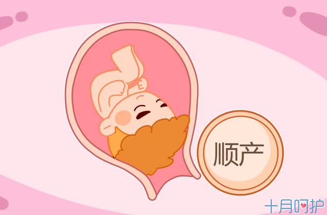 产妇分娩时，胎儿在干什么？其实宝宝也很忙，不止你一个人在努力