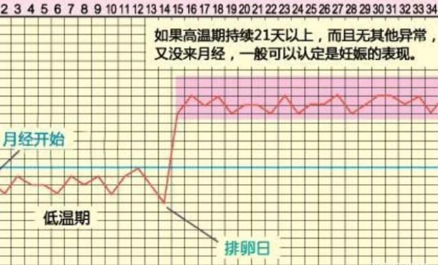 想快一点怀孕怎么办？这4个备孕技巧正好能帮上你