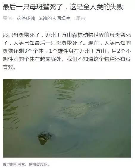 德国人用自然教育启蒙儿童，这8套科普绘本让孩子更了解大自然