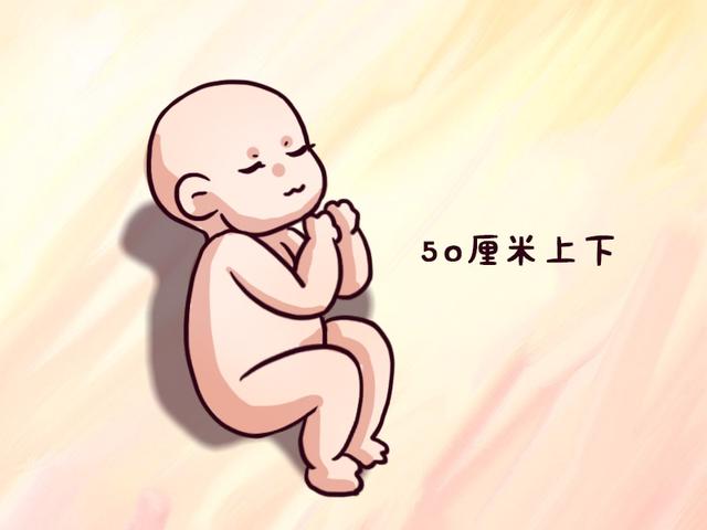 为什么新生儿的身高都是50厘米？难道护士填错了？答案出乎意料