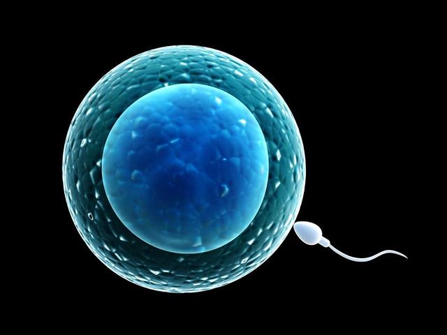 如果精子进入体内，没能与卵子结合，女人会有什么感觉？