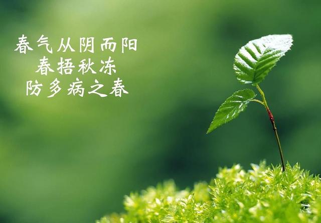 春季如何预防孩子生病？家长普遍信奉“春捂”，专家表示：要慎重