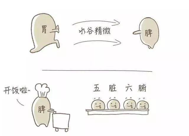 孩子脾胃怎么样？不看舌苔，眼袋颜色也能告诉你！