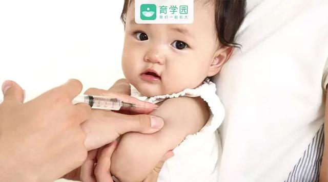 育儿专家说：第一次带娃接种疫苗没经验？为您送上宝典