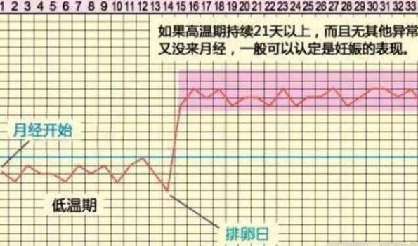 排卵期的有效受孕时间是几天？清楚这个“数”才是备孕的关键