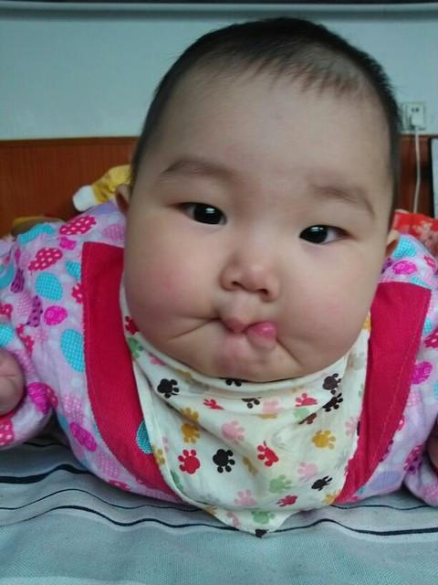 感冒、咳嗽了，把果子煮一煮，吃完睡一觉就止！排痰效果好！
