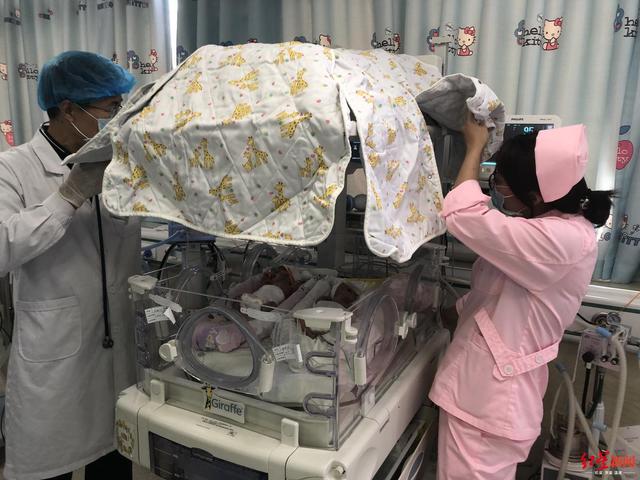 早产龙凤胎只有巴掌大 连下9道病危通知书被救活