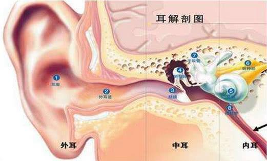 3岁男童耳朵不舒服,医生取出的东西,让人觉得不可思议